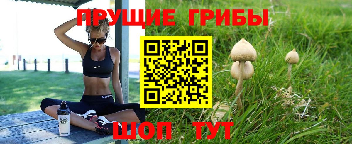 Псилоцибиновые грибы ЛСД  Вход с VPN  Галлюциногенные грибы Magic Shrooms  Орск 