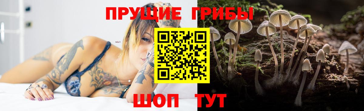 Галлюциногенные грибы Cubensis Орск